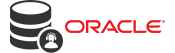 Oracle DBA Support